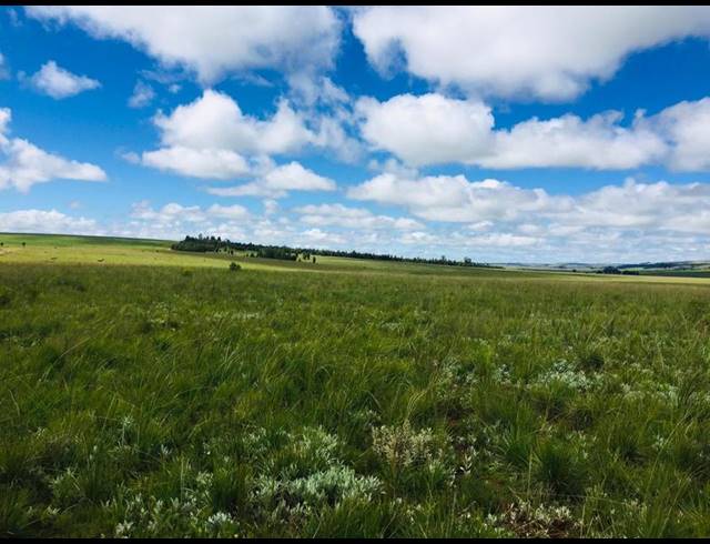 LAND FOR SALE IN MACHADODORP RURAL